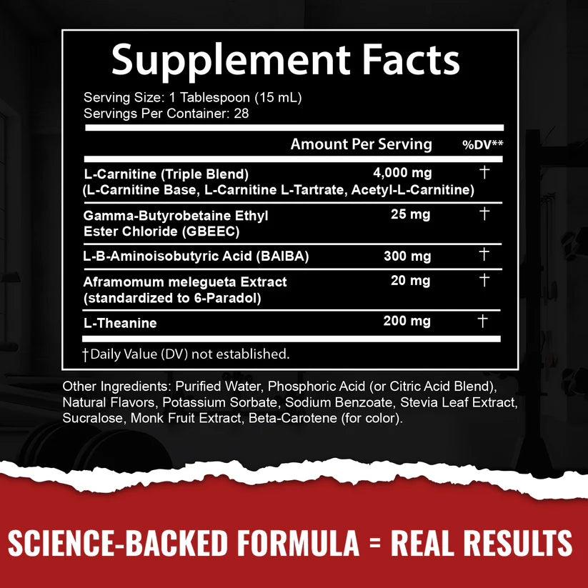 STÅLK SHRED 4000™ - Raging Mango