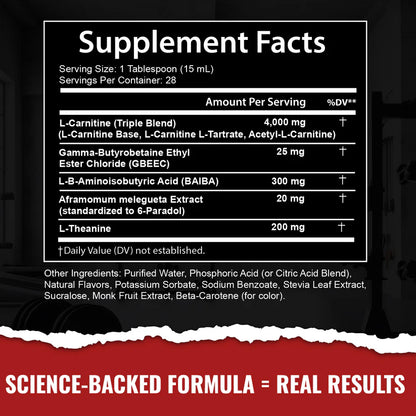 STÅLK SHRED 4000™ - Raging Mango