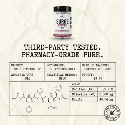 STÅLK SURGE 185™  Anabolic Muscle Complex | Build Lean Muscle 3X Faster