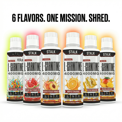 STÅLK SHRED 4000™ Liquid Carnitine Complex | Burn Fat 3X Faster