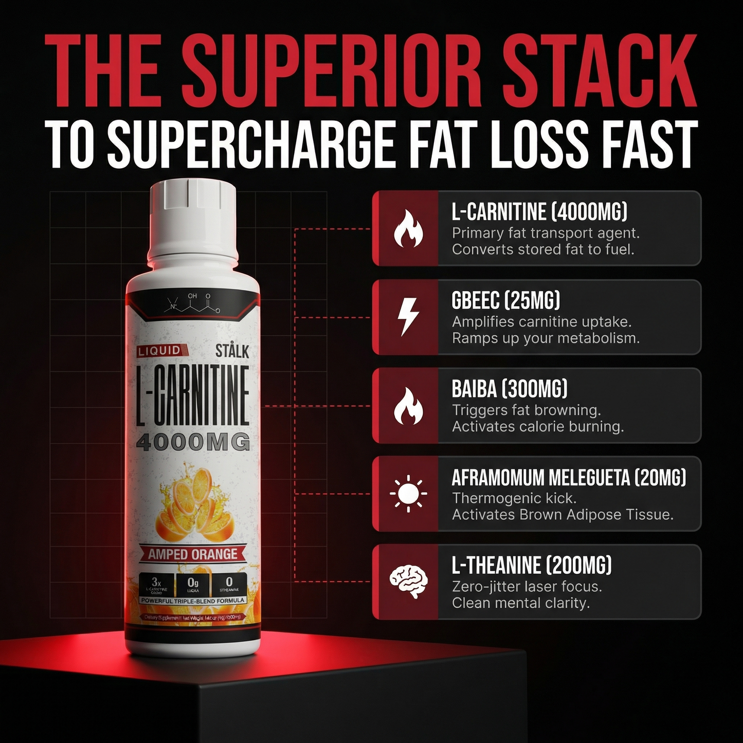 STÅLK SHRED 4000™ Liquid Carnitine Complex | Burn Fat 3X Faster