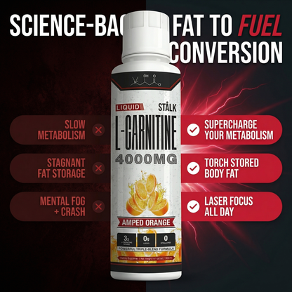 STÅLK SHRED 4000™ Liquid Carnitine Complex | Burn Fat 3X Faster