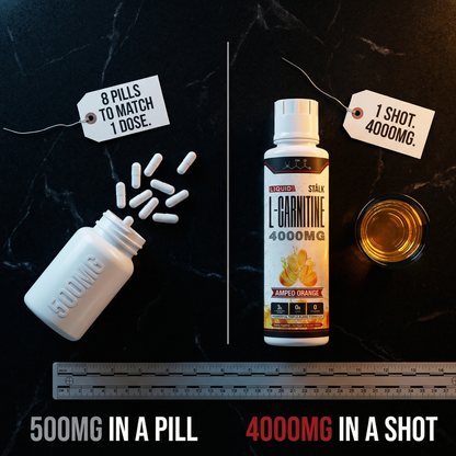 STÅLK SHRED 4000™ Liquid Carnitine Complex | Burn Fat 3X Faster