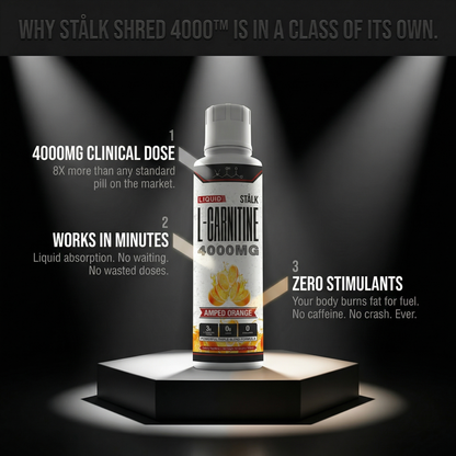 STÅLK SHRED 4000™ Liquid Carnitine Complex | Burn Fat 3X Faster