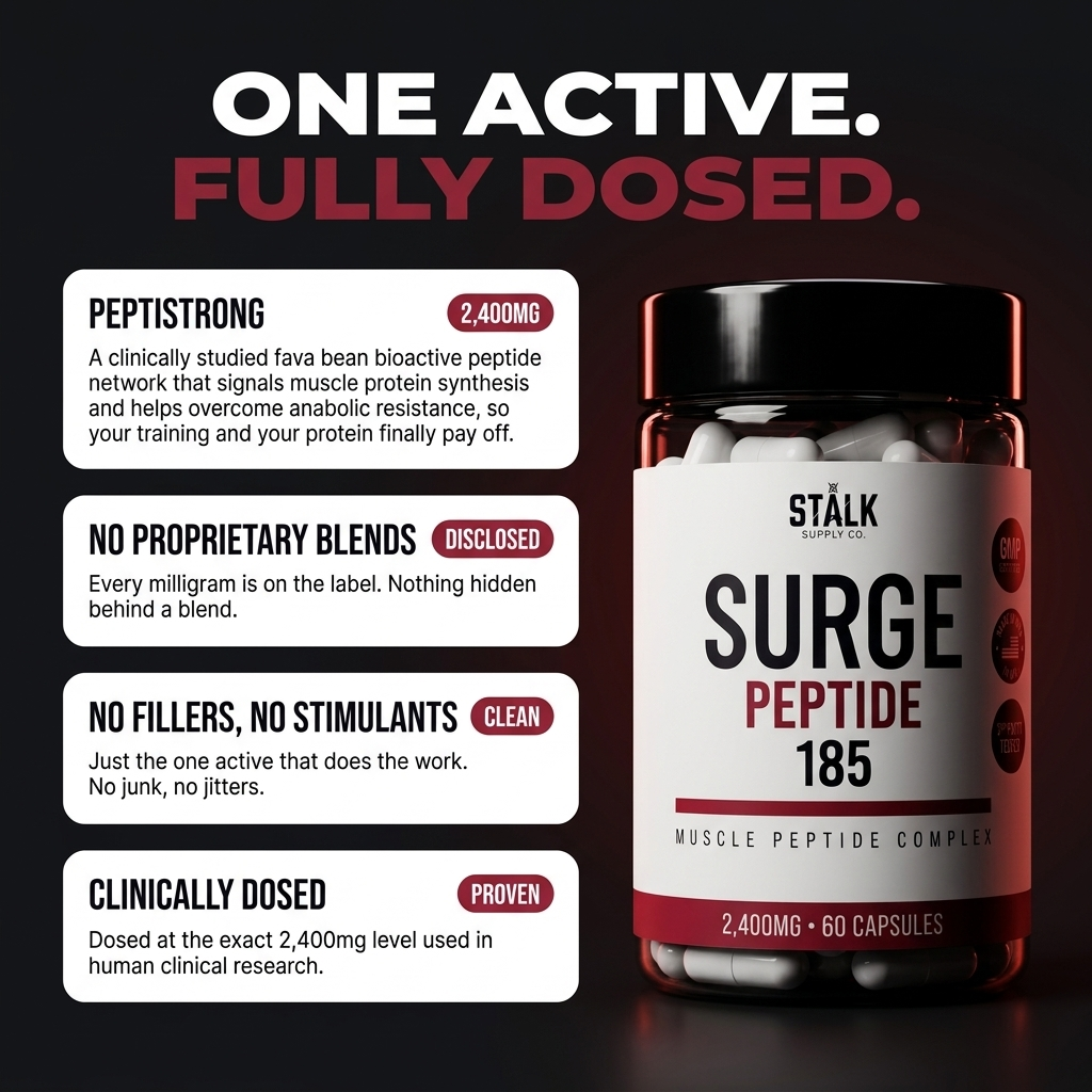 STÅLK SURGE 185™  Anabolic Muscle Complex | Build Lean Muscle 3X Faster