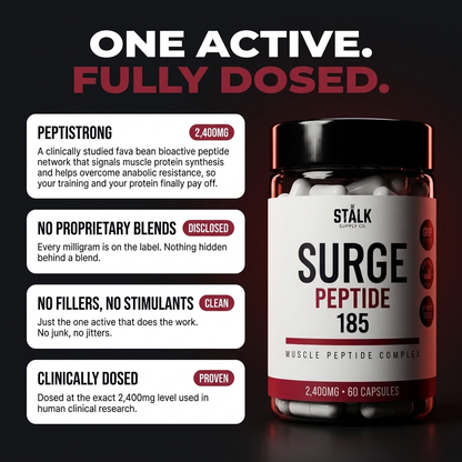 STÅLK SURGE 185™  Anabolic Muscle Complex | Build Lean Muscle 3X Faster